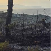 πυρκαγιά