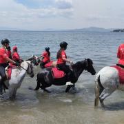 Αγιασμός Αλόγου Καλά Νερά Μαγνησίας