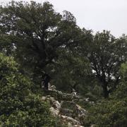 περιοχή Natura