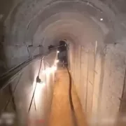 γάζα, πόλεμος, σορός