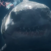 καρχαρίας, μεγαλόδοντας, θάλασσα