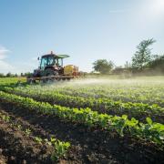 χωράφι - καλλιέργεια 