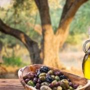 εξαγωγες ελαιολαδο