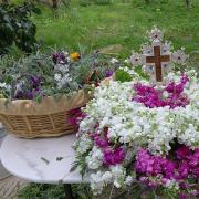 σταροπροσκύνηση