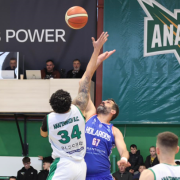 ΑΝΑΓΕΝΝΗΣΗ ΑΡΚΑΛΟΧΩΡΙΟΥ