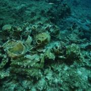 αρχαιολογικοι χώροι