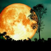 εαρινή ισημερία