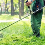 καθαρισμος οικοπεδου