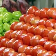 ντομάτες πιπεριές