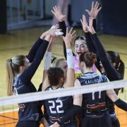 ΟΦΗ ΒΟΛΕΙ ΓΥΝΑΙΚΩΝ