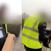 κλοπή, γάτα