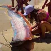 ψάρι, μεξικό