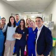 βρυσαλης παγνη