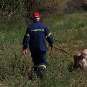 ερευνες για Ελευθερία Γιακουμάκη