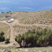 αστερουσια