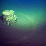 ΒΑΡΕΛΙΑ ΜΕ ΔΑΚΤΥΛΙΟΥΣ