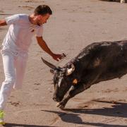 ταυρομάχος, φεστιβάλ