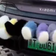 Κίνα, ουρές