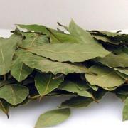 φύλλα δάφνης