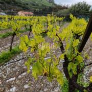 χαλαζόπτωση προφήτης ηλίας