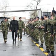 δενδιας ξανθη