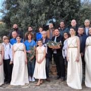 κοπη κοτινου πλατανιας