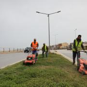 συντήρηση και αναβάθμιση του πρασίνου στο Ηράκλειο