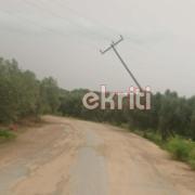 κολώνα μεσοχωριό