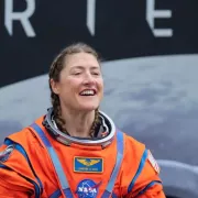 κοξ, άρτεμις