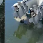 μανάτος, σκάφος