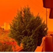 αφρικανική σκόνη