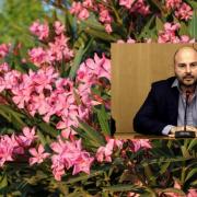 ΣΤΑΣΙΝΟΣ ΠΙΚΡΟΔΑΦΝΗ