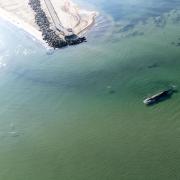 φαλαινα βαλτικη