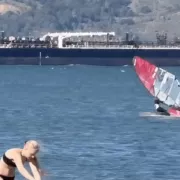 windsurfer