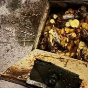 υδραυλικός χρυσά νομίσματα