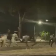 άλογα