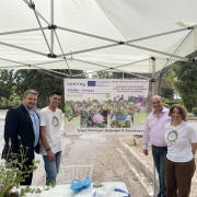 φυτά ελμεπα