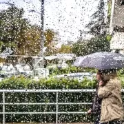 βροχή 