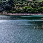 Μόρνος