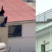 Περιστέρι
