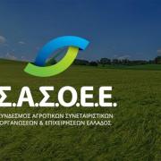 ΣΑΣΟΕΕ