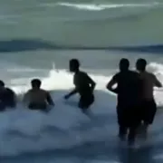 καρχαρίας, κοπέλα