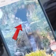disneyland, παιδί