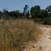 ακαθάριστα οικόπεδα