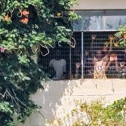 παλιό ψυγείο μετανάστες