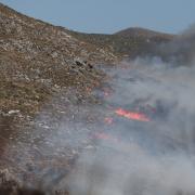 Φωτιά στο Κουρταλιώτικο Φαράγγι