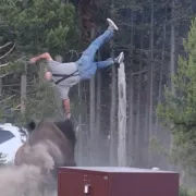 τρόμος, βίσονας