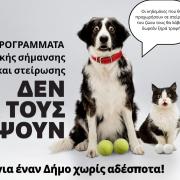 Αδέσποτα_ζώα 