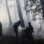 φωτιά λητή