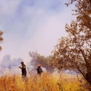 πυροσβέστες 